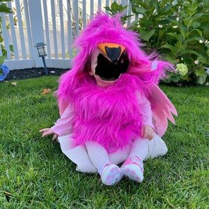 Custom Flamingo costume size 6-12mos